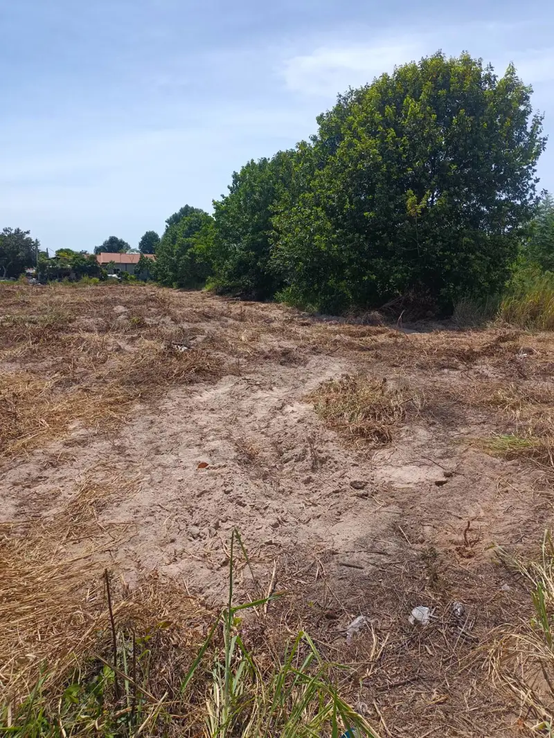 Land for sale in Pong in a subdistrict within the Bang Lamung District of Chon Buri Province, located in the eastern part of Pattaya