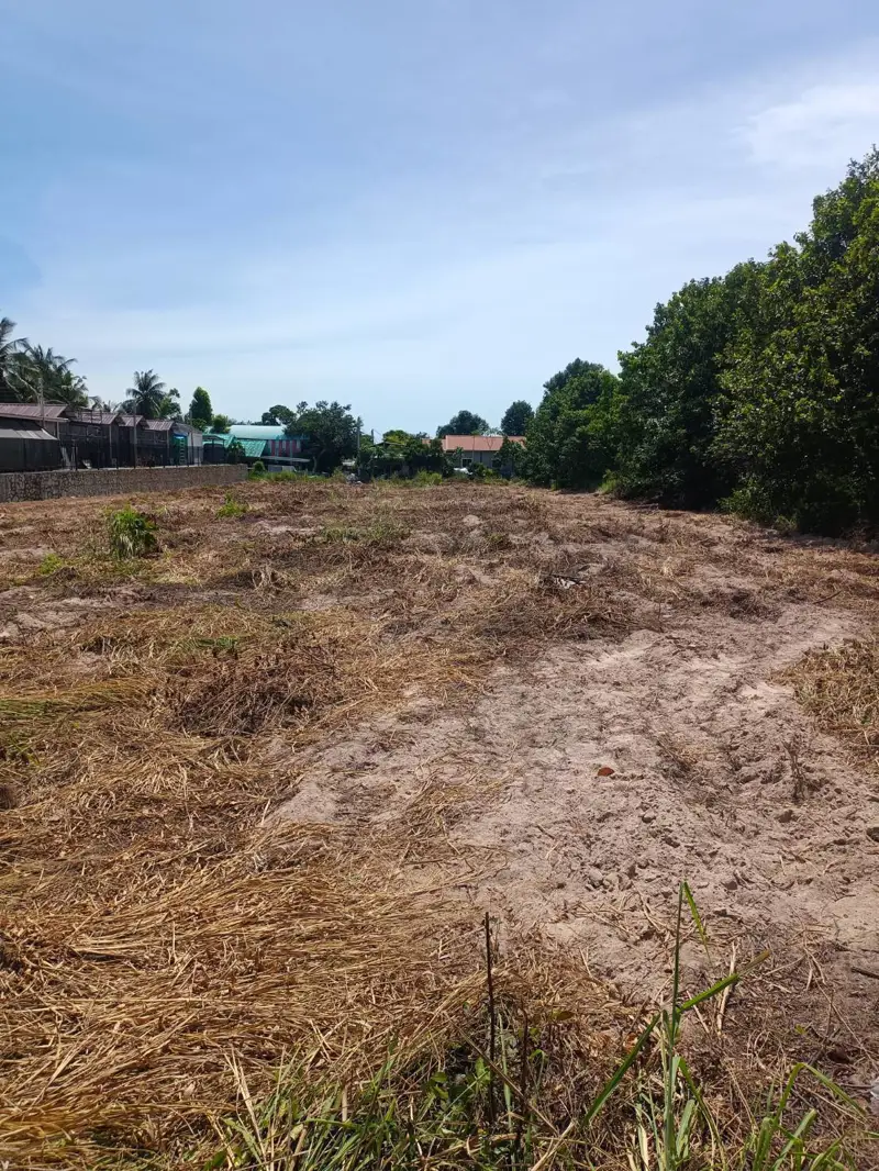 Land for sale in Pong in a subdistrict within the Bang Lamung District of Chon Buri Province, located in the eastern part of Pattaya