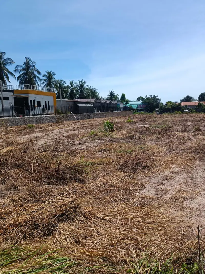 Land for sale in Pong in a subdistrict within the Bang Lamung District of Chon Buri Province, located in the eastern part of Pattaya