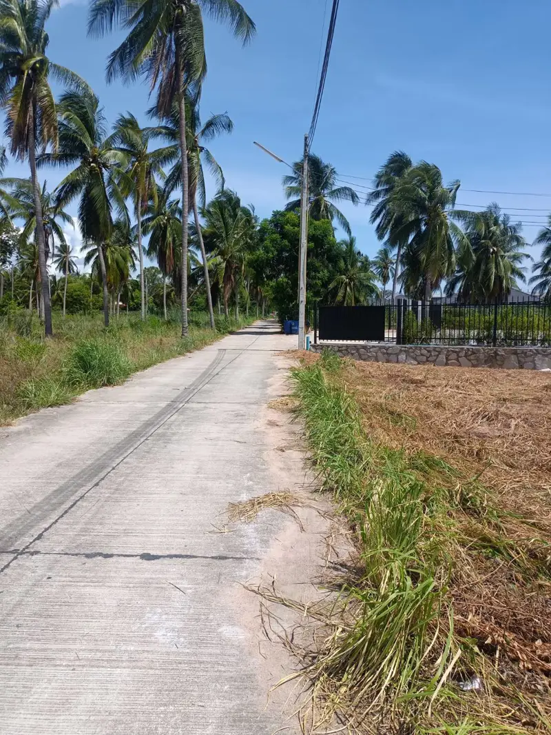 Land for sale in Pong in a subdistrict within the Bang Lamung District of Chon Buri Province, located in the eastern part of Pattaya