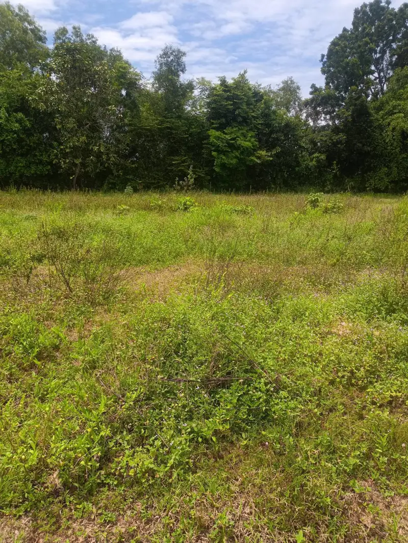 Land 1,272 sqm Thung Klom-Talman for sale