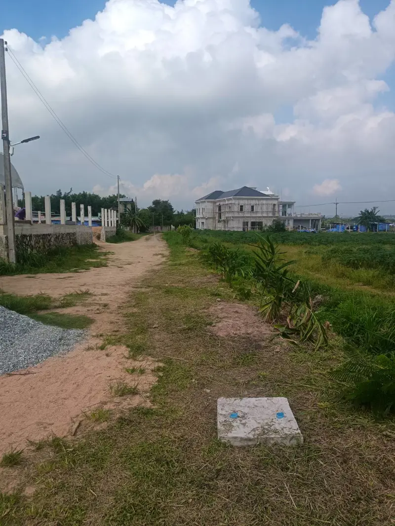 Land with a view of Ang Chak Nok 190 sqw. LS17