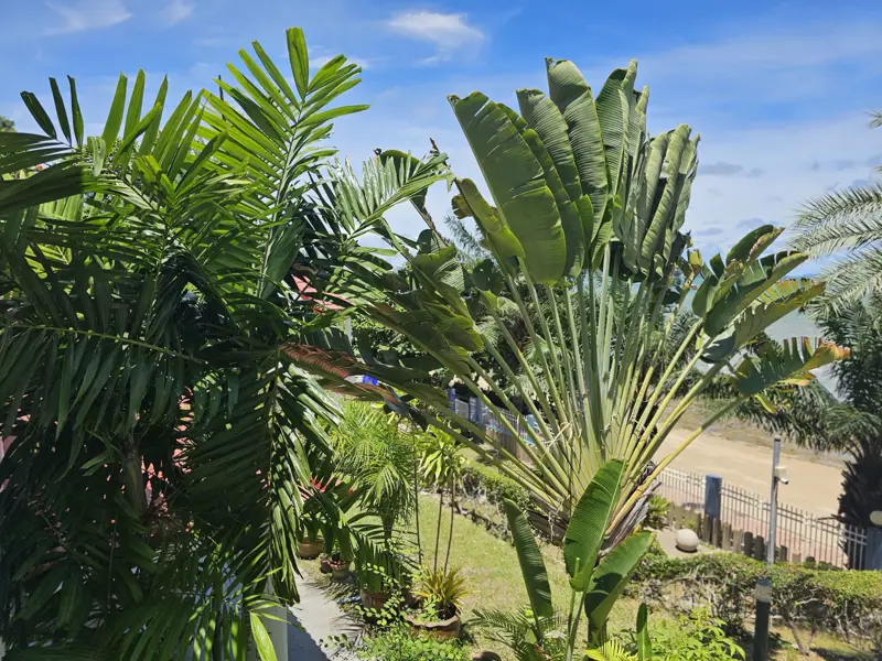 3 bed Duplex sea view beach side condo for sale in central Pattaya