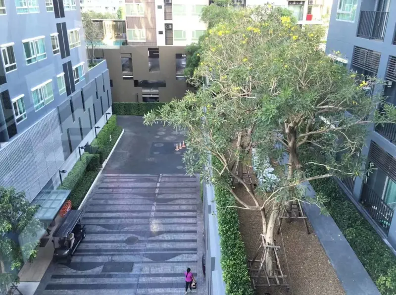 2 bed Condo Located in Pattaya's heart, facing the sea, and decorated in resort-style, Near shopping malls such as Central Festival Pattaya Beach, and only 500 meters to Pattaya Beach.