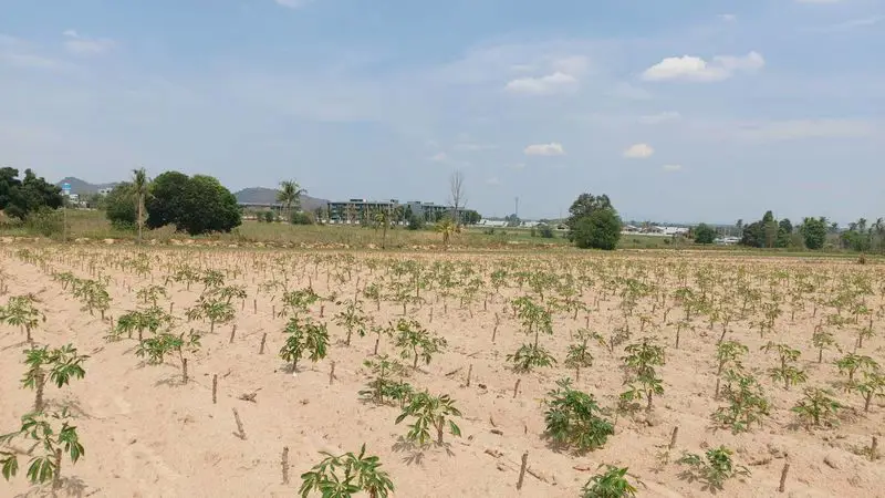 45 Rai Land for Sale near Rugby School for sale