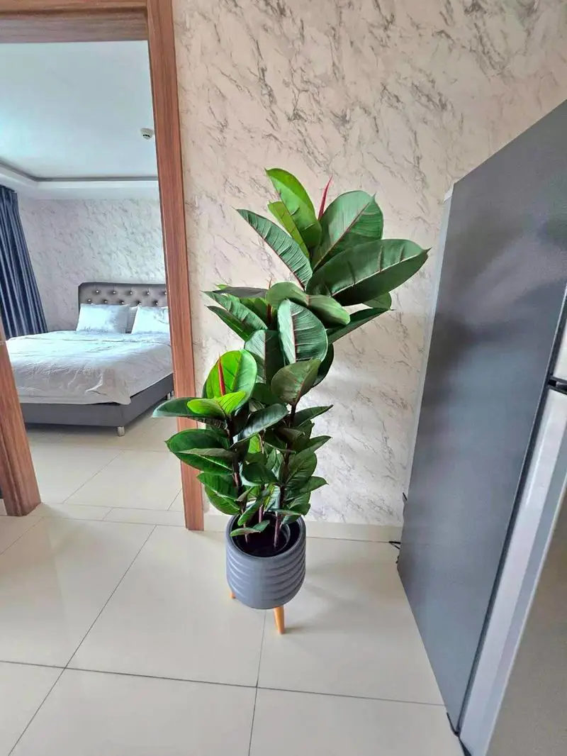 1 bed condo Jomtien for rent with underground parking . Luxurious open-air lobby areas, a fully-equipped gymnasium suite, and a relaxing massage and spa service