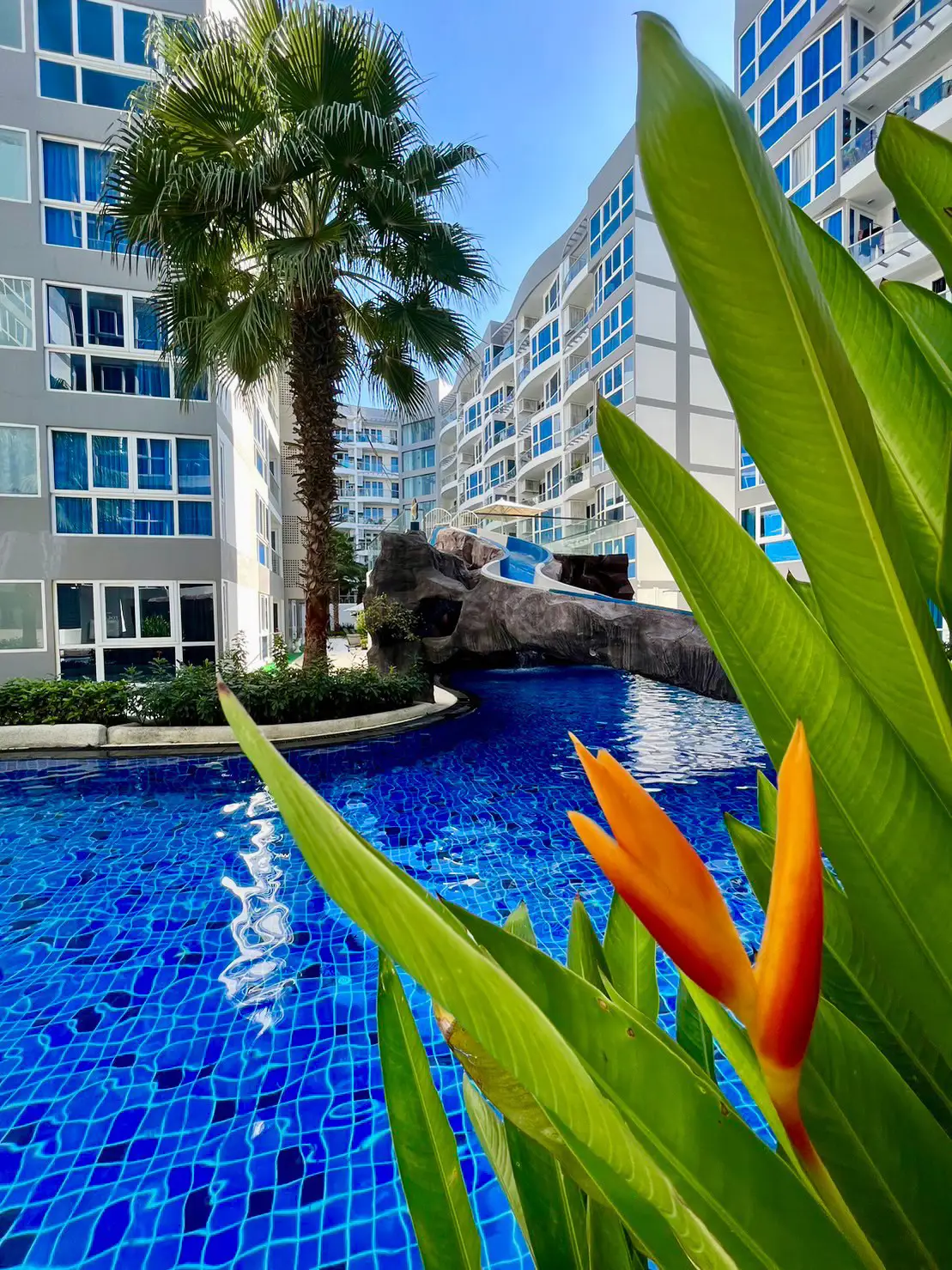  Grand Avenue Residence 1 Bedroom for sale and rent