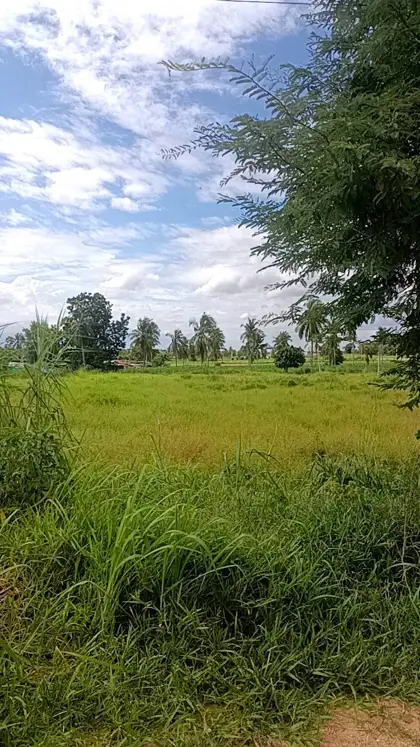 2 rai of land in Huai Yai for sale