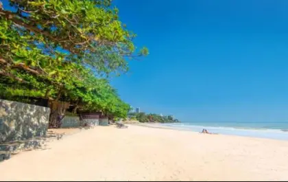 Majestic Residence, on Pratumnak 7 Bedroom for sale and rent