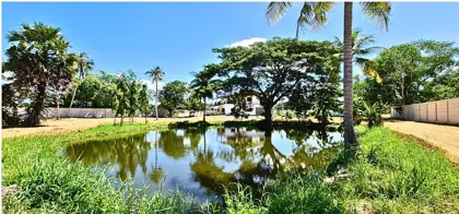 Huay Yai Land for Sale