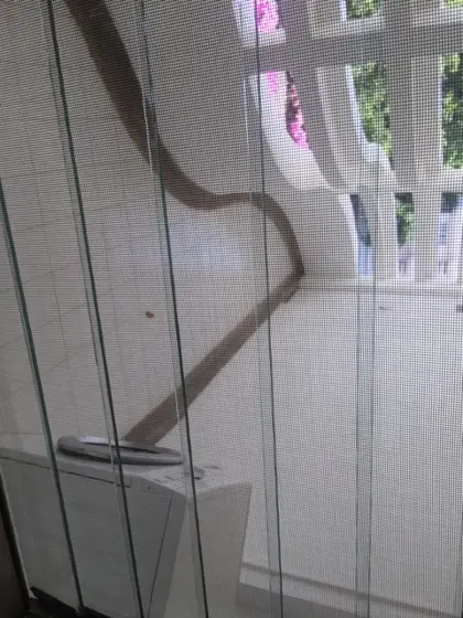 Royal cliff Garden Condominium 3 Bedroom for rent