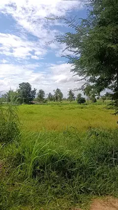 2 rai of land in Huai Yai for sale