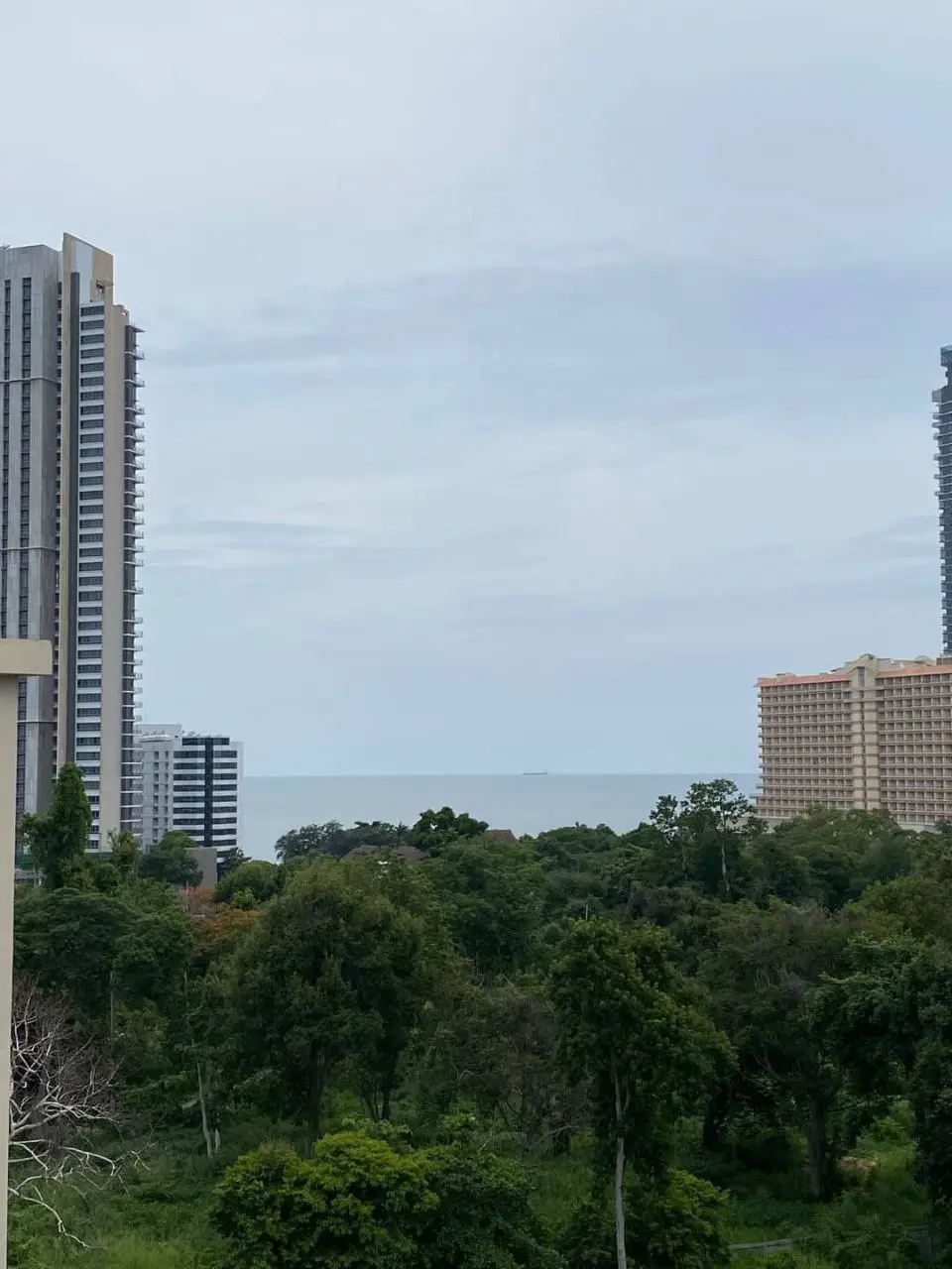 City Garden Tropicana 1 Bedroom for sale