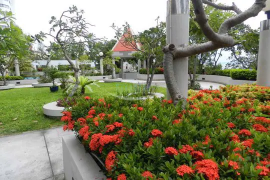 Tropical Garden Jomtien Plaza Condotel 