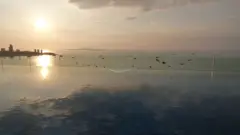 Centric Sea Condominium for Rent in Pattaya City